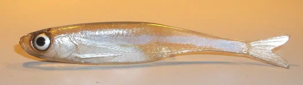 ABLETTE FINESS 6.5CM REF FIZSN