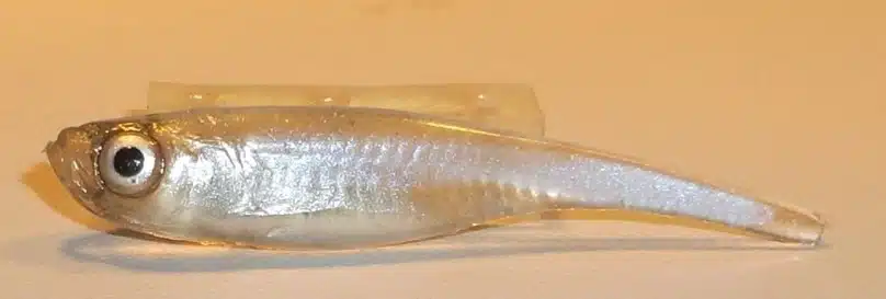 ALEVIN FINESS 4CM REF FIZSN