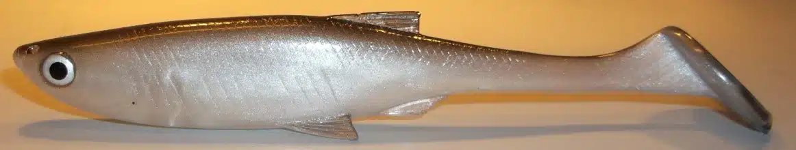 EPERLAN SHAD 13 CM REF FICP