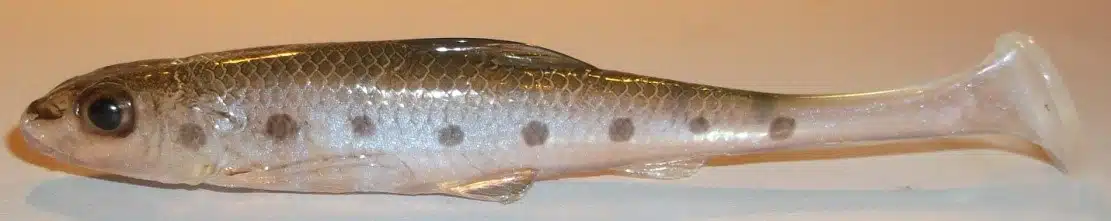 GOUJON SHAD 9CM REF FION
