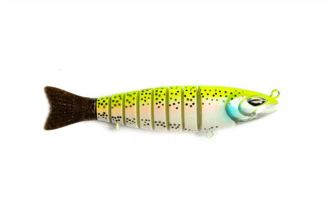 S-Funky RAINBOWTROUT