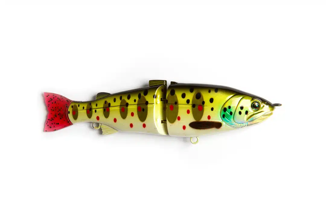 Statam Browntrout