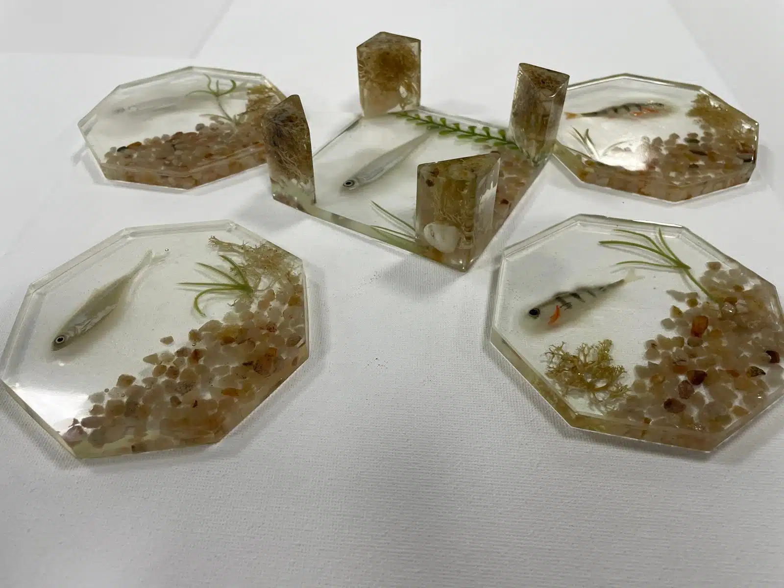 Set sous-verres avec support leurres souples